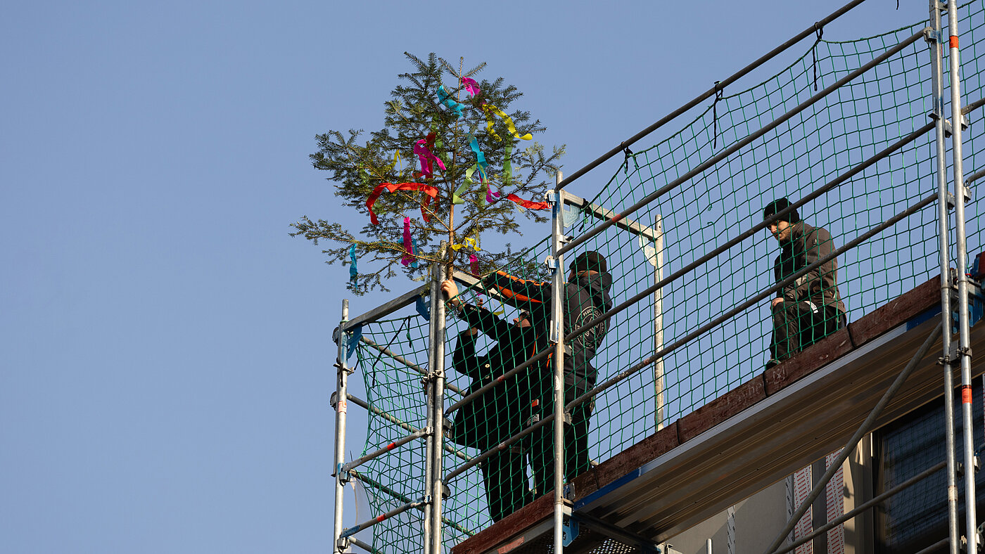 Ein Baugerüst bei dem gerade von Handwerkern der Richtfestbaum angebracht wird.