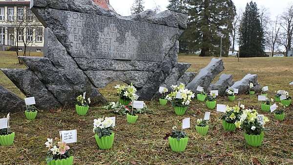 Vor dem Mahnmal des ZfP Reichenau stehen Christrosen, die an die Opfer der Nationalsozialisten erinnern.