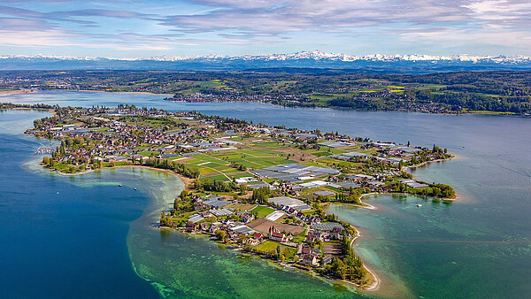 Das Luftbild zeigt die Insel Reichenau im Bodensee mit den schneebedeckten Gipfeln der Alpen im Hintergrund.