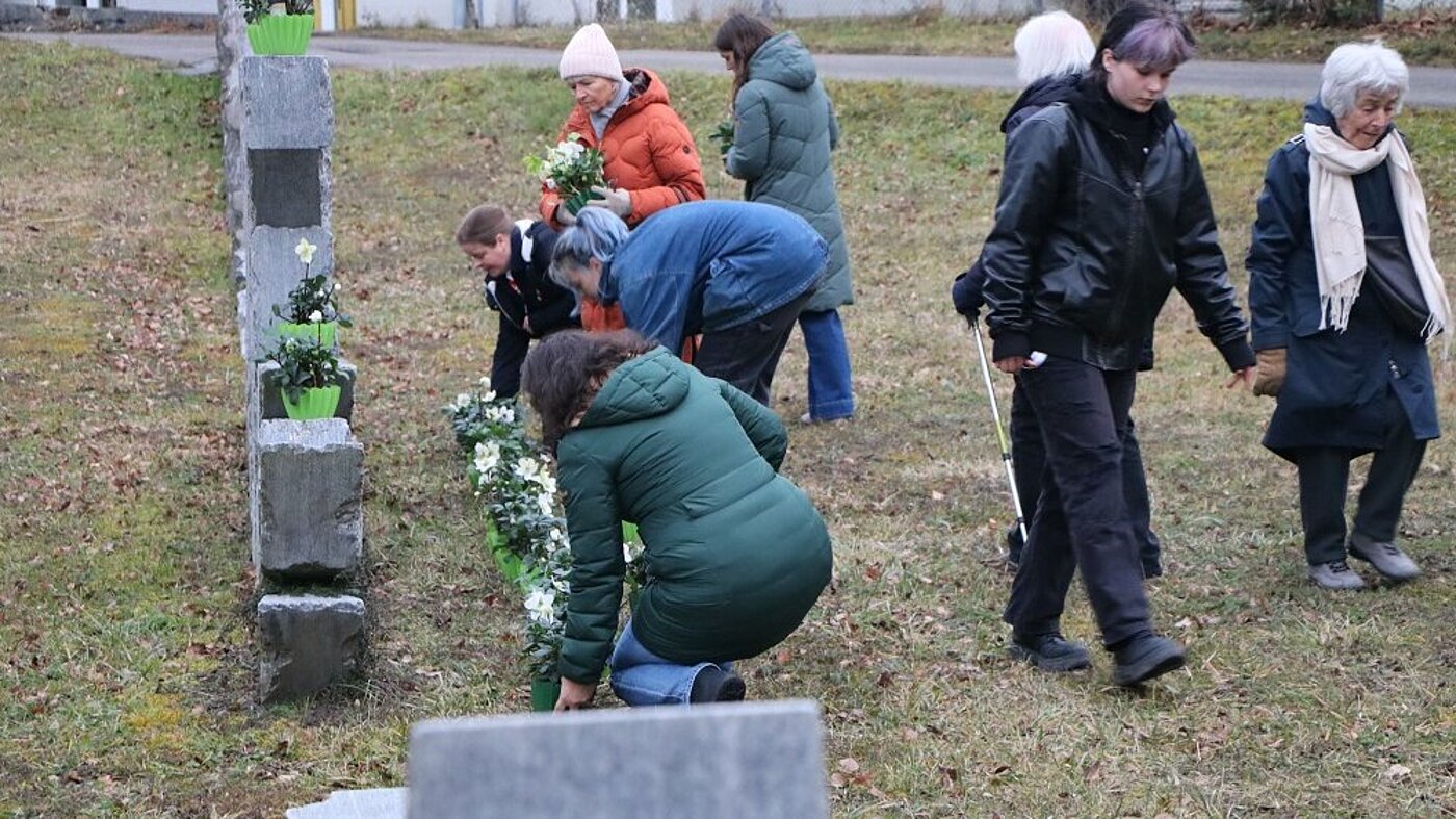 Mehrere Menschen knien am Mahnmal nieder, um dort Christrosen in Blumentöpfen aufzustellen.