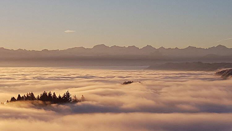 Ein Nebelmeer bei Sonnenuntergang mit einzelnen Bäumen, die aus der Wolkendecke ragen und Bergen im Hintergrund.