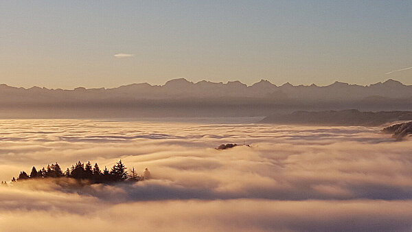 Ein Nebelmeer bei Sonnenuntergang mit einzelnen Bäumen, die aus der Wolkendecke ragen und Bergen im Hintergrund.